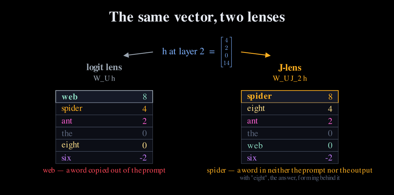 The same layer-2 vector read two ways: the logit lens ranks web 8, spider 4, ant 2; the Jacobian lens ranks spider 8, eight 4, ant 2.